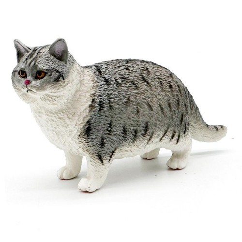 Figurina modello gatto carino - modello,