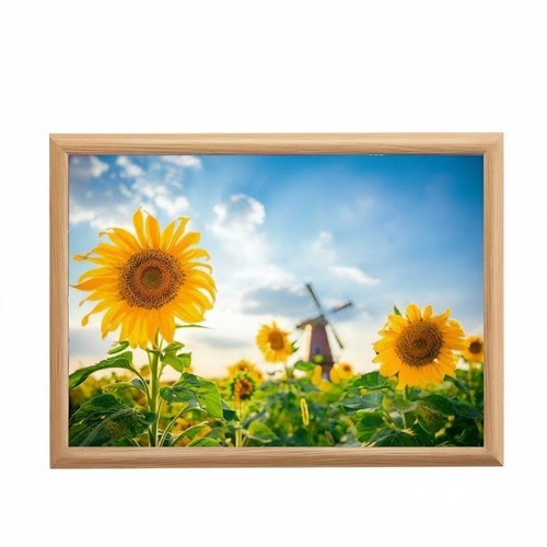 Cornice fiore baciato dal - fiore,